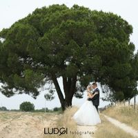 Partilha a foto mais bonita do teu casamento! - 1