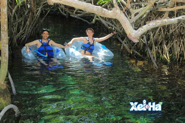 Xel ha - rio da vida