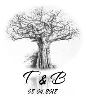 Logo Casamento - Resultado final