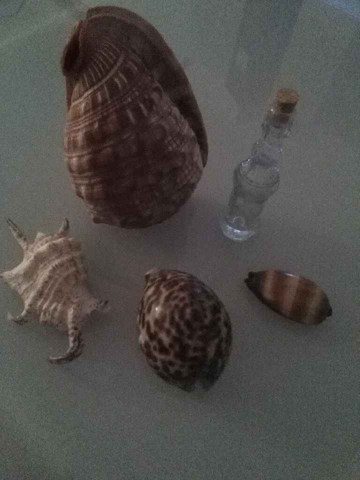  Coisas em andamento - 5