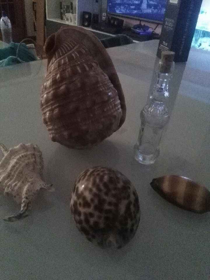  Coisas em andamento - 7