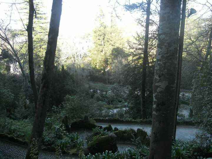  Sessão de solteiros! - 4