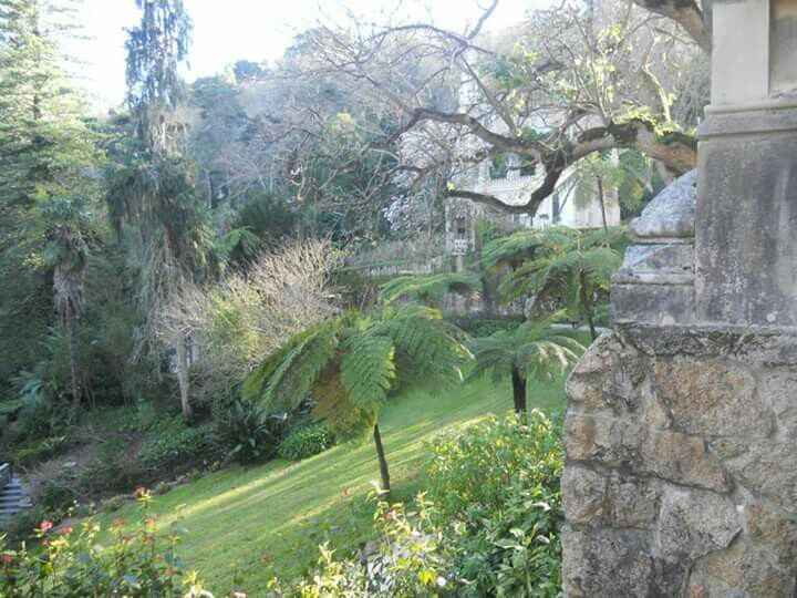  Sessão de solteiros! - 5