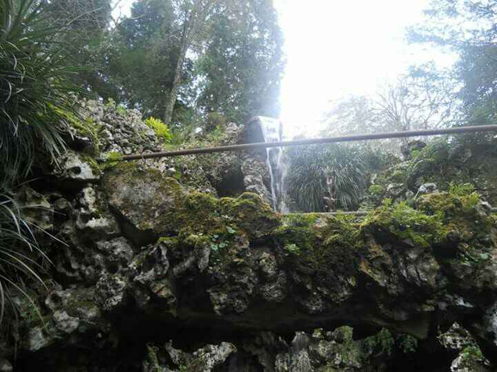  Sessão de solteiros! - 14