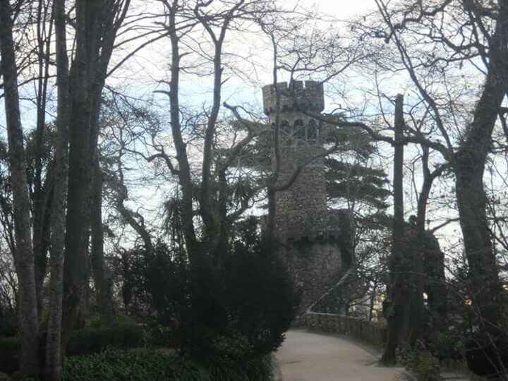  Sessão de solteiros! - 15