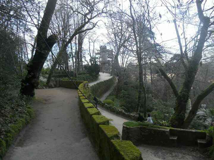  Sessão de solteiros! - 17