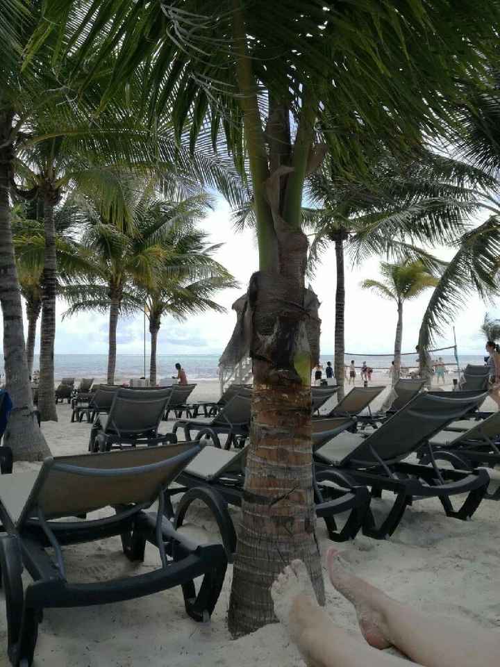 e foi lindo 💜 muito mais do que poderíamos ter esperado! - 16