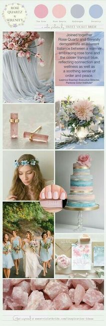 Palete de cores quartzo rosa + serenity - 4