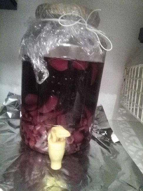  Coisas em andamento - 4