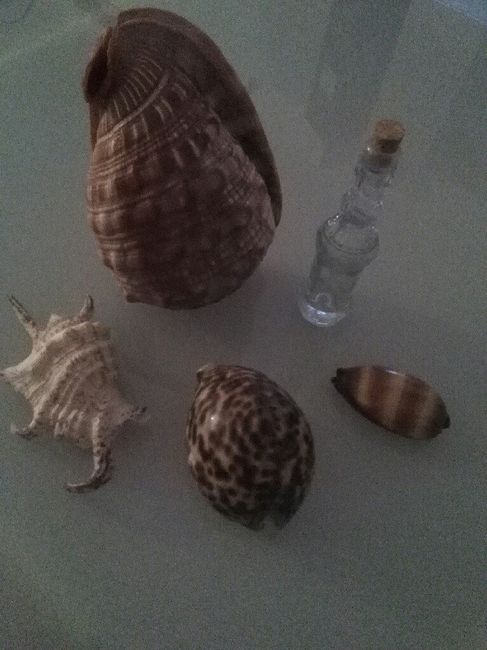  Coisas em andamento - 5