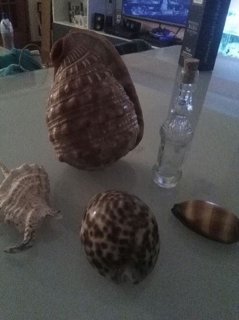  Coisas em andamento - 7