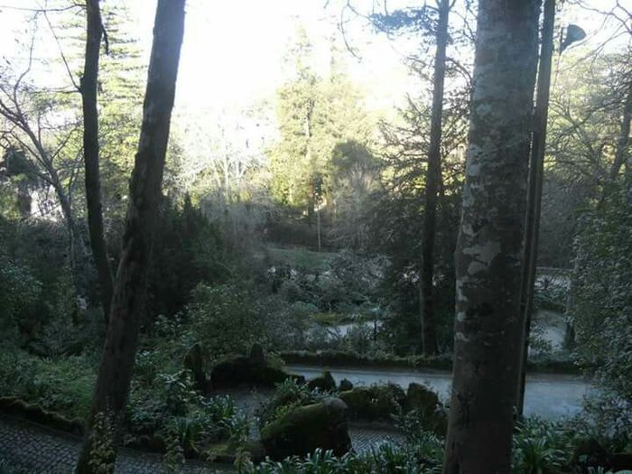  Sessão de solteiros! - 4