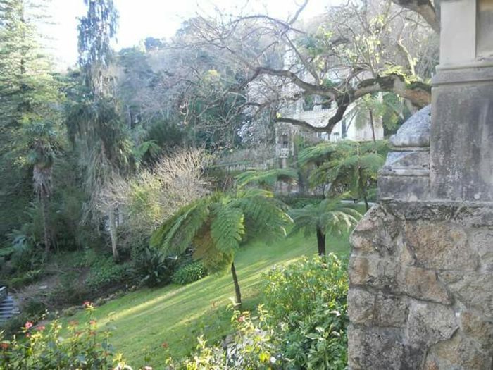  Sessão de solteiros! - 5