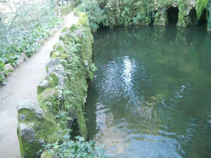  Sessão de solteiros! - 7