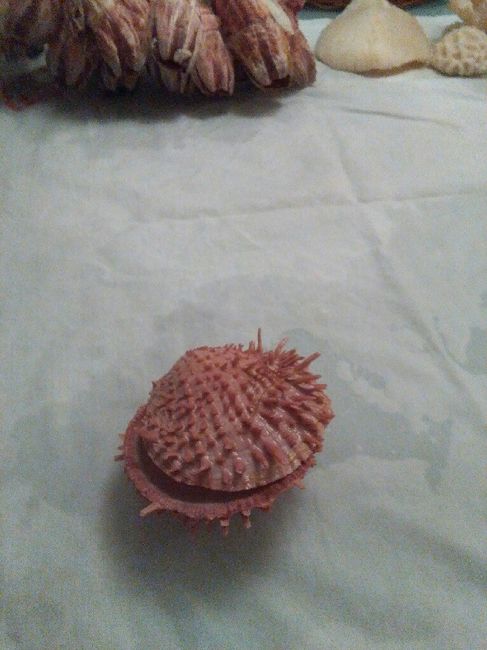 é amanhã!!! 😰😰😰 - 24