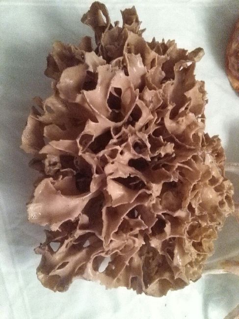 é amanhã!!! 😰😰😰 - 31