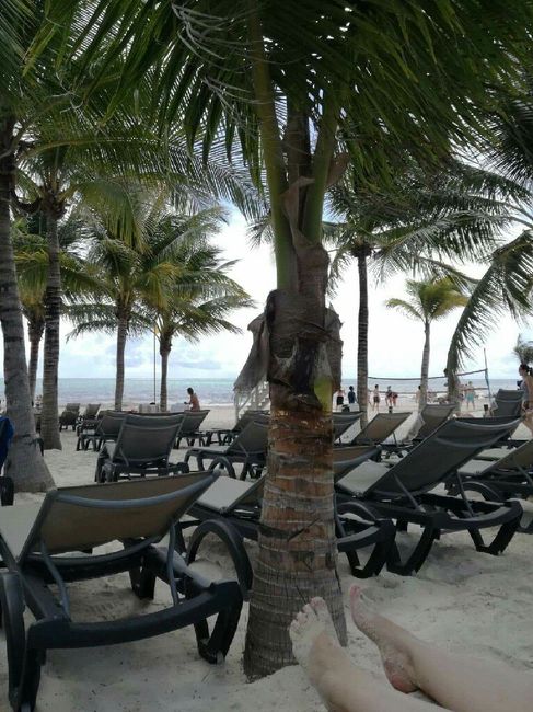 e foi lindo 💜 muito mais do que poderíamos ter esperado! - 16