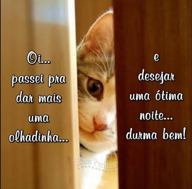 Boa noite - 7