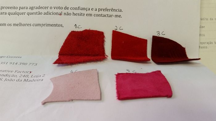 Estas são as Camurças