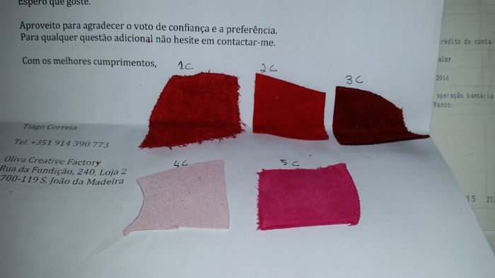 Estas são as Camurças