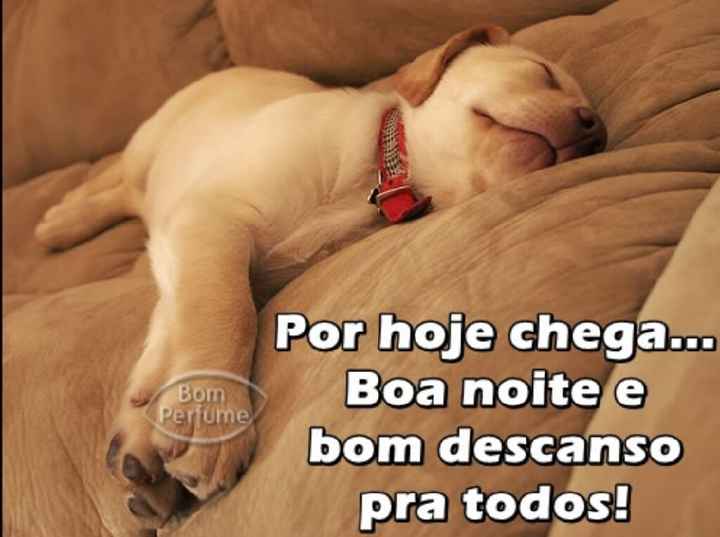 Boa noite - 5