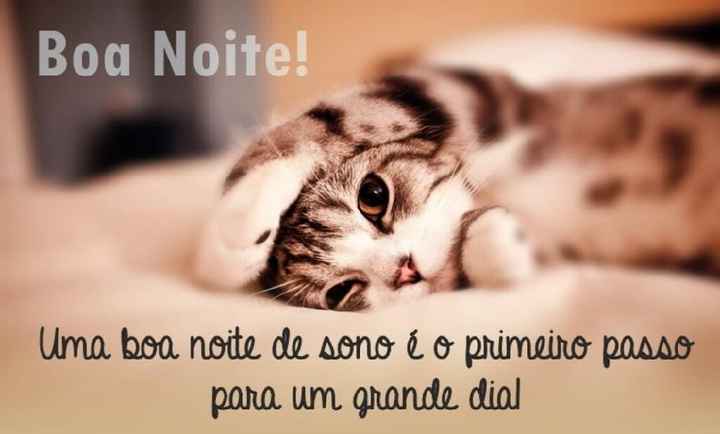 Boa noite - 6