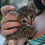 Matilde