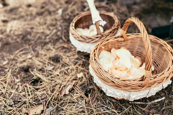 Cones de arroz - 1
