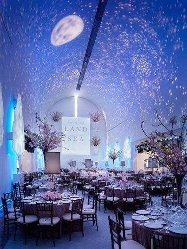Se o meu casamento fosse… Galáctico! ✨ - 1