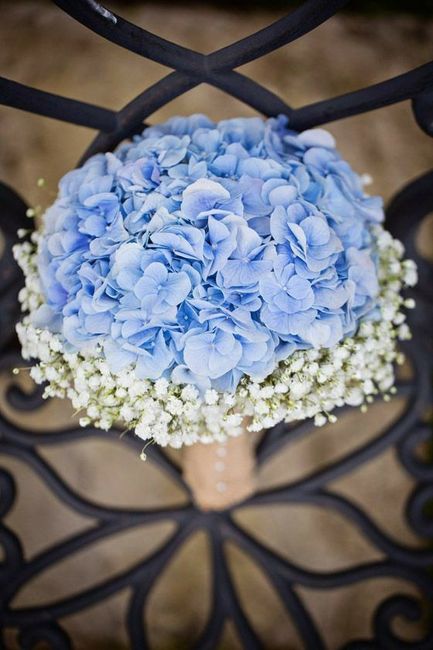 Flores - 3