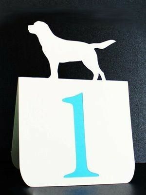 Tema: animais - 8