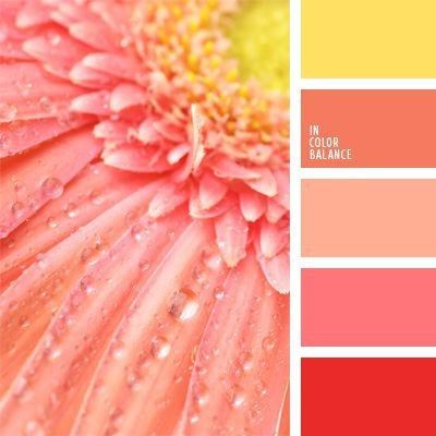 Palete de cores