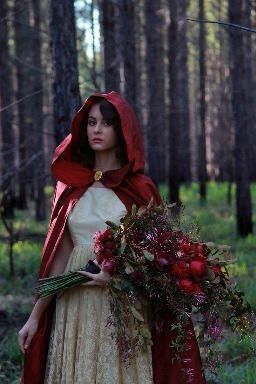 Tema capuchinho vermelho - inspirações - 10