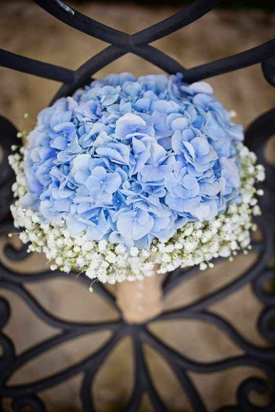 Flores - 3