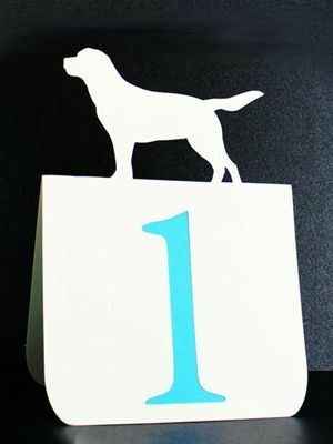Tema: animais - 8