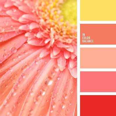 Palete de cores