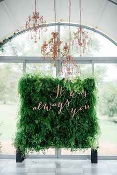 8 . Backdrop | Fundo noivos | 