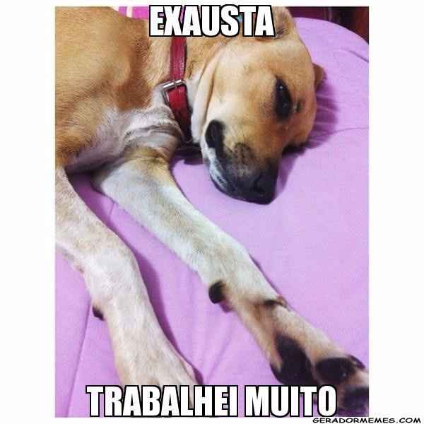 Exauta