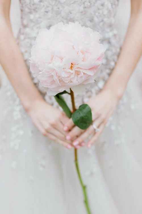 4 inspirações - "bouquet" de 1 flor 🌸 - 3