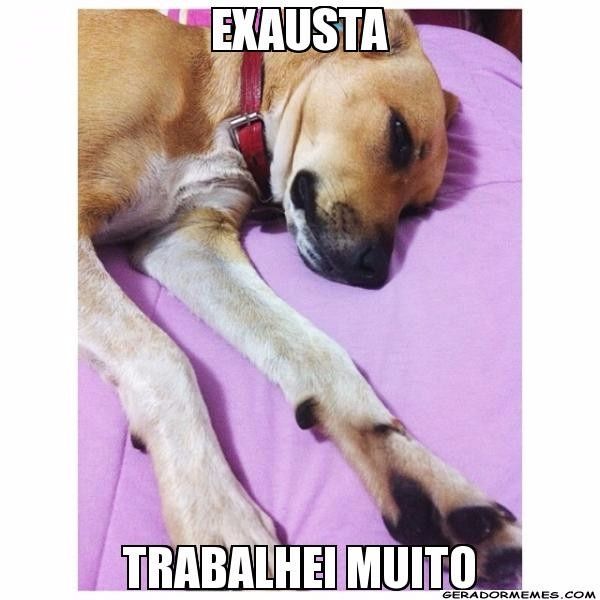 Exauta