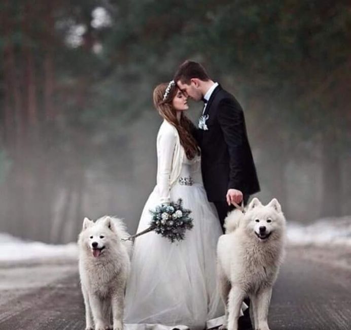 Inverno - vestido - 1