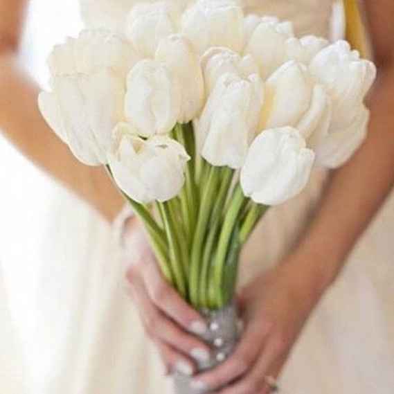 Bouquet de Tulipas