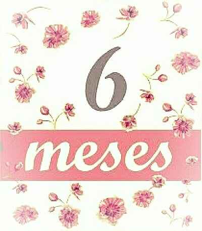 Faltam 6 meses!!! - 1