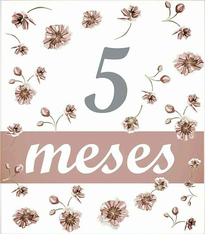Faltam 5 meses!!! - 1