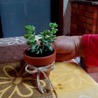 Lembranças em construção =)