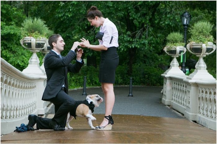 A proposta a rigor... love!!! 