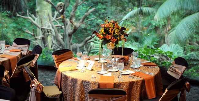 decor