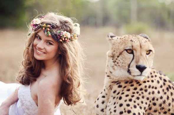 safari