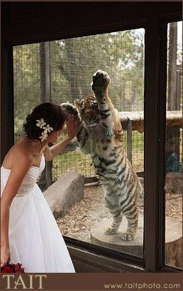 zoo's
