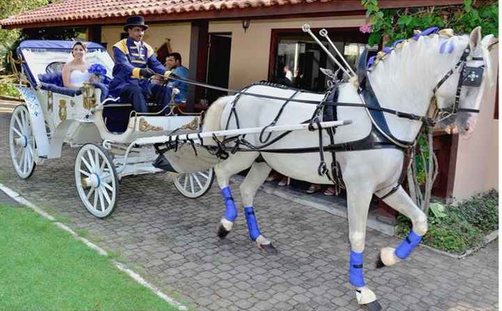 Já decidiste como vais para o teu casamento? - 10